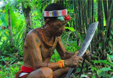 Bagaimana Suku Mentawai Menjaga Hutan Siberut Tetap Lestari? Padahal Mereka Juga Menebang Pohon