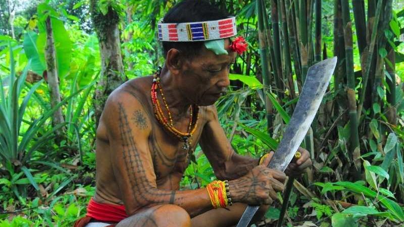 Bagaimana Suku Mentawai Menjaga Hutan Siberut Tetap Lestari? Padahal Mereka Juga Menebang Pohon