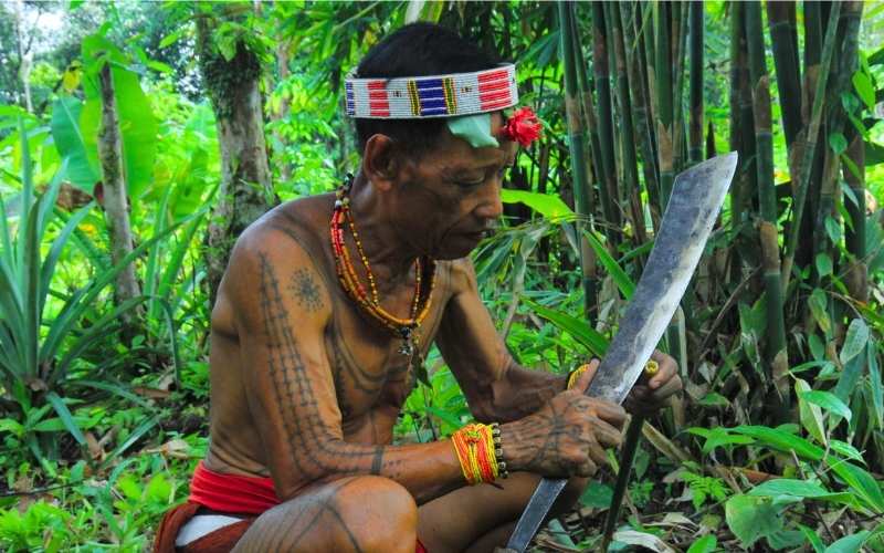 Bagaimana Suku Mentawai Menjaga Hutan Siberut Tetap Lestari? Padahal Mereka Juga Menebang Hutan