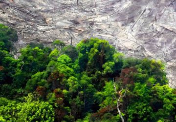 Konflik TNTN Pelalawan, “Semua Bermuara di Pusat”