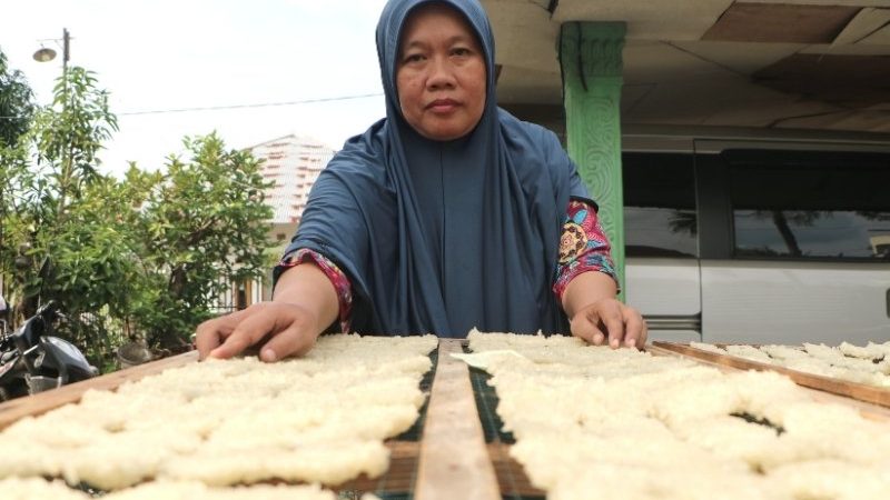 Ekonomi Lingkungan Jadi Solusi Pertumbuhan Rendah Emisi, Ini Strategi Penerapannya di Indonesia
