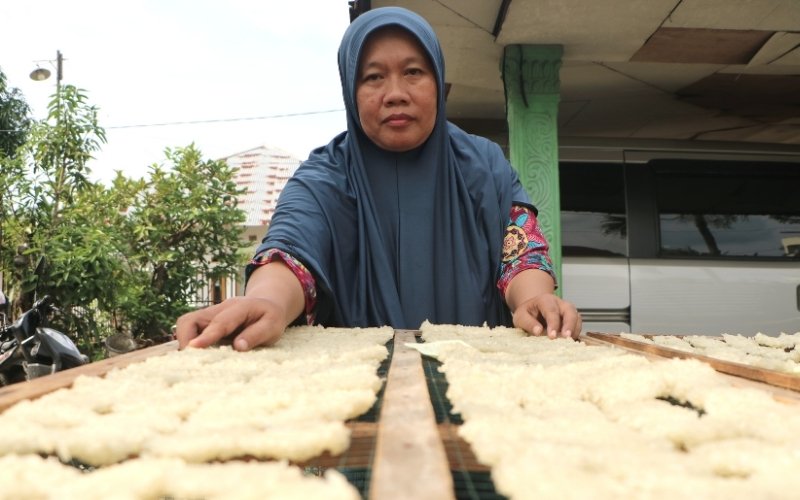Ekonomi Lingkungan Jadi Solusi Pertumbuhan Rendah Emisi, Ini Strategi Penerapannya di Indonesia