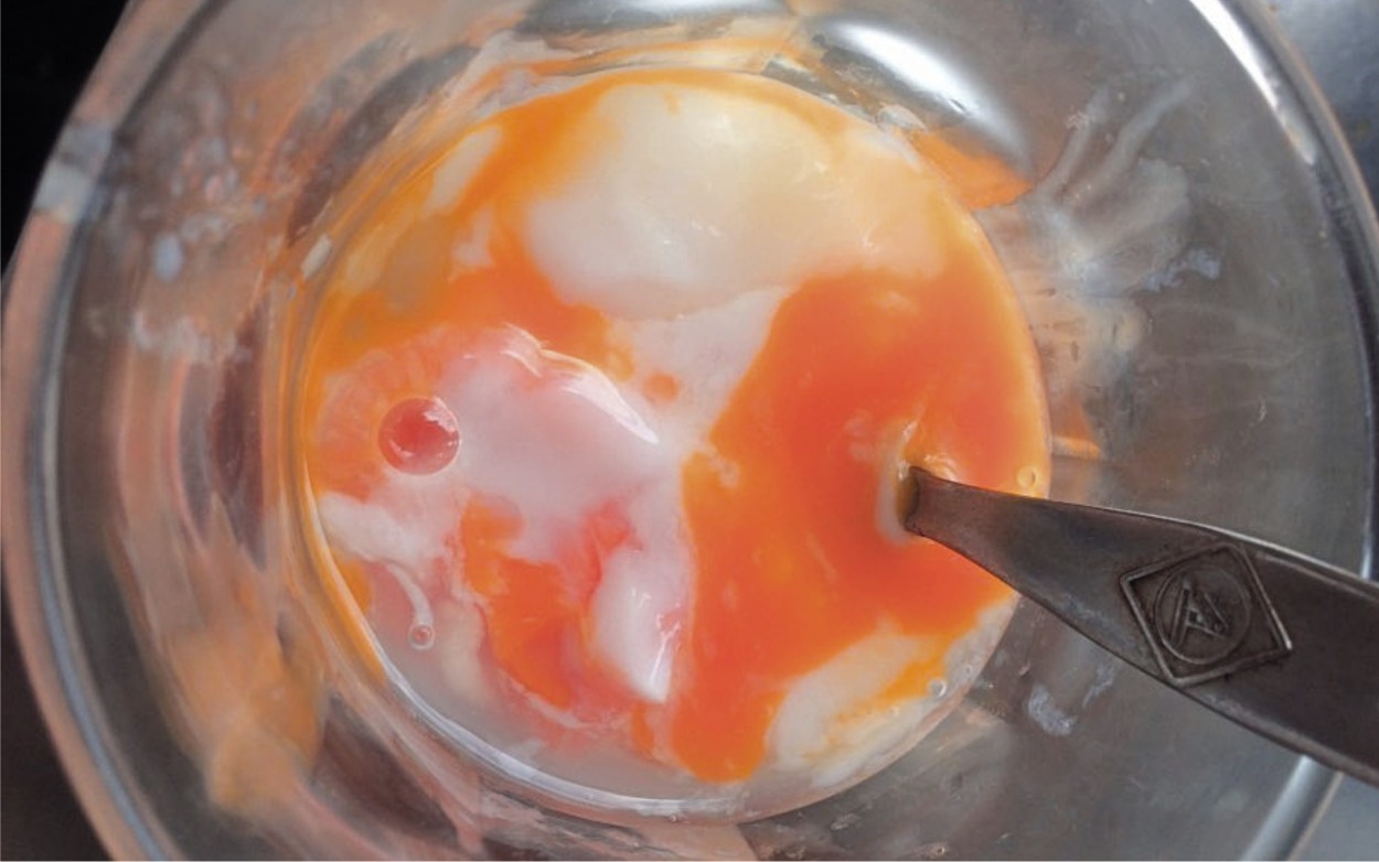 Telur Ayam Kampung Setengah Matang, Iiih… Sehat Nggak?