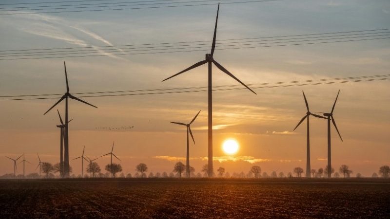 Pembangkit Tenaga Angin Global Cetak Rekor 165 GW pada 2025, Siapa Juaranya?