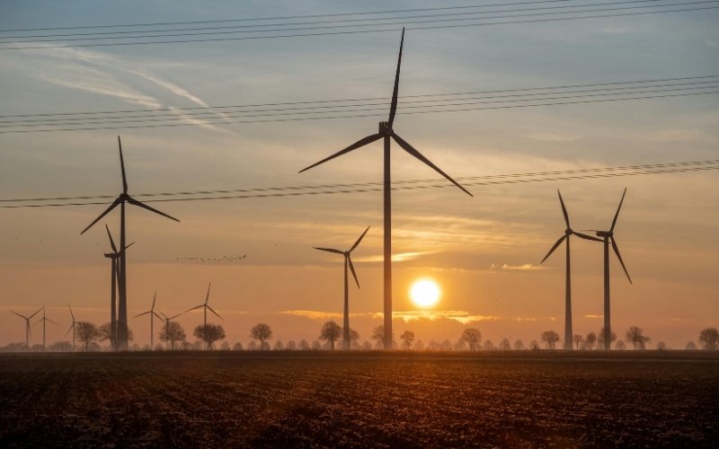 Pembangkit Tenaga Angin Global Cetak Rekor 165 GW pada 2025, Siapa Juaranya?