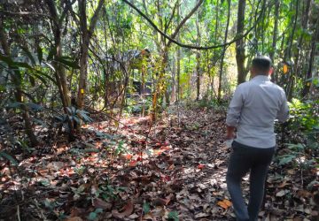 Riau Optimis Kejar Tahapan Readiness Menuju Pasar Karbon Global