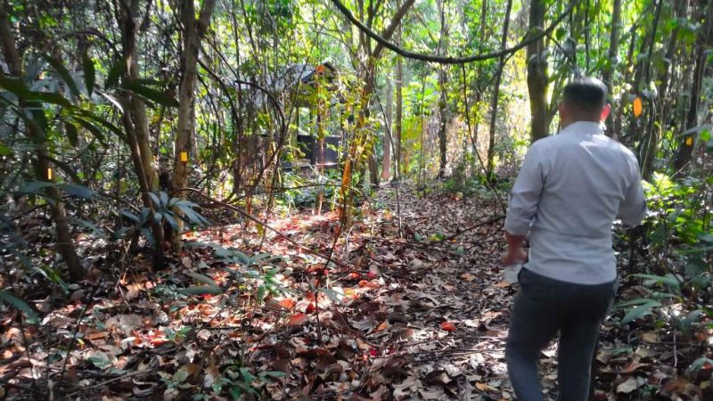 Riau Optimis Kejar Tahapan Readiness Menuju Pasar Karbon Global
