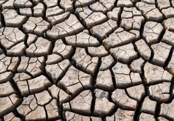 NOAA Tetapkan El Nino Watch, Peluang El Nio 2026 Capai 82 Persen