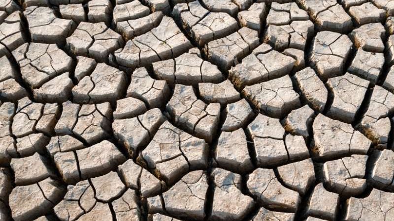 NOAA Tetapkan El Nino Watch, Peluang El Nio 2026 Capai 82 Persen