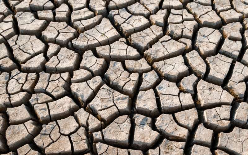 NOAA Tetapkan El Nino Watch, Peluang El Nio 2026 Capai 82 Persen