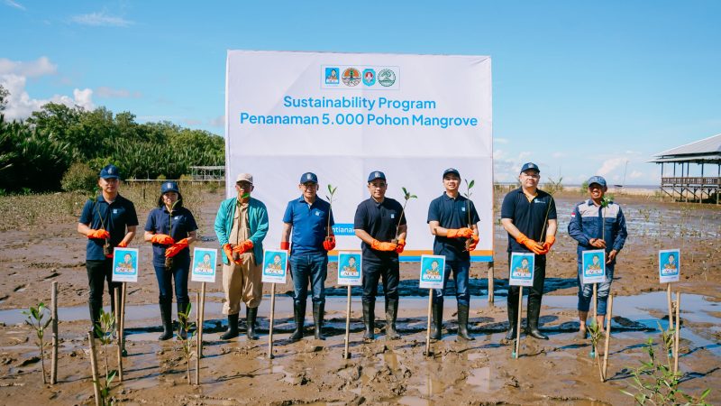 ACC Tanam 5.000 Bibit Mangrove di Pesisir Kubu Raya Kalimantan Barat