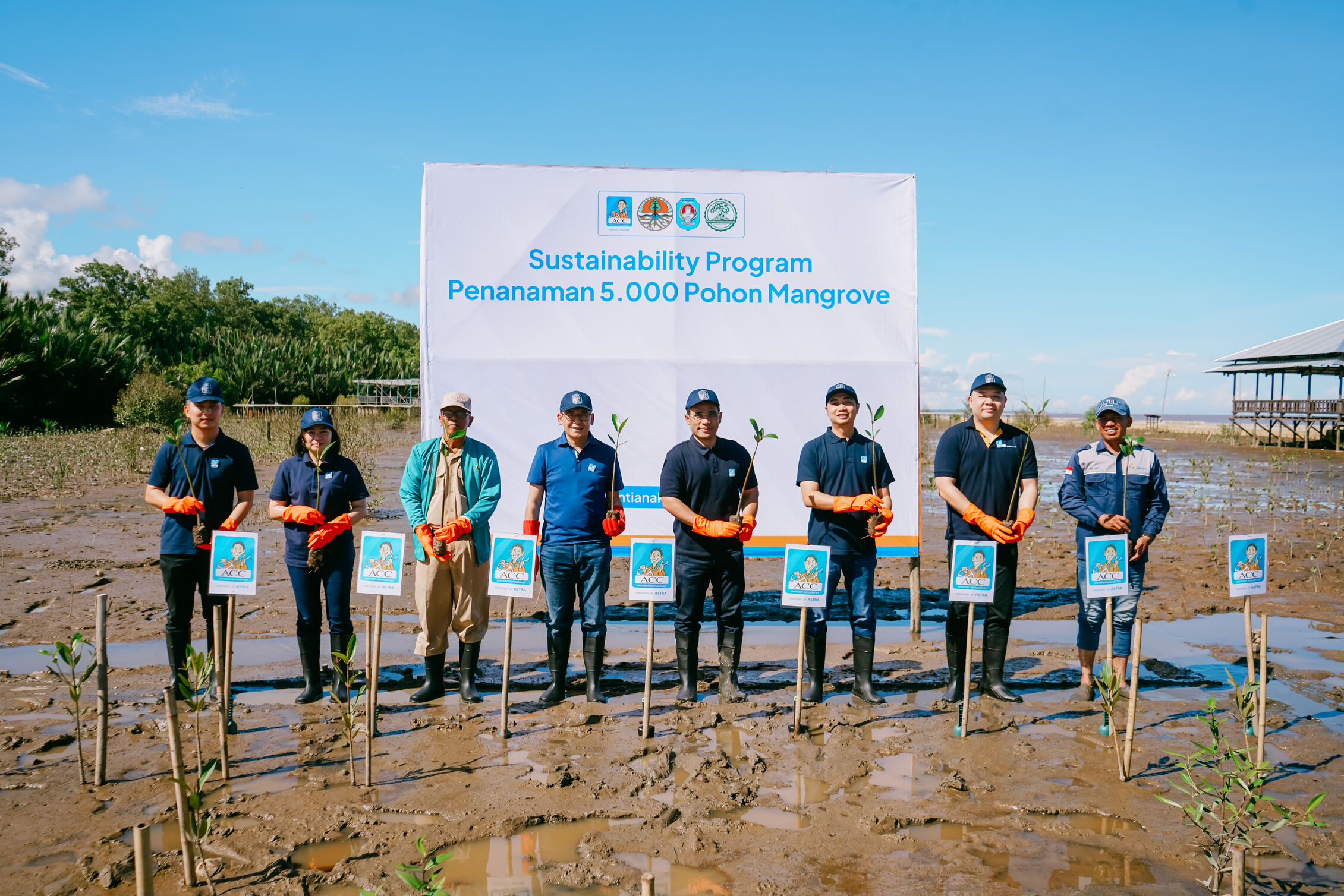 ACC Tanam 5.000 Bibit Mangrove di Pesisir Kubu Raya Kalimantan Barat
