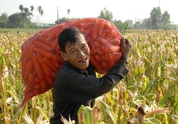 FAO: Potensi Naik Tajam Minyak Nabati saat Harga Komoditas Pangan Dunia Naik Berturut-turut