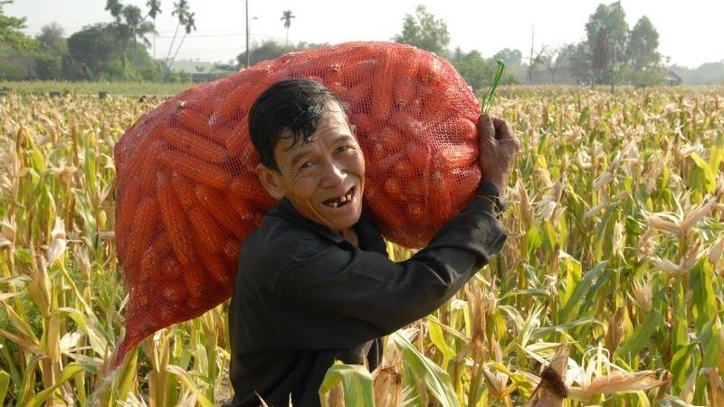 FAO: Potensi Naik Tajam Minyak Nabati saat Harga Komoditas Pangan Dunia Naik Berturut-turut