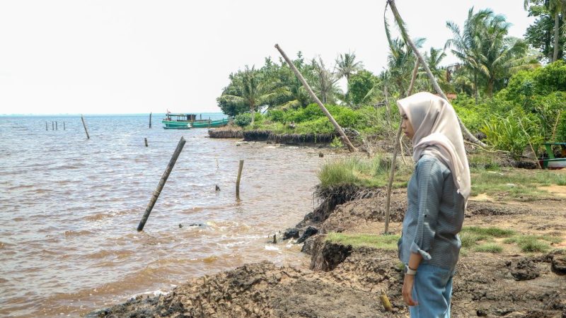 Daerah Didesak Segera Lakukan Mitigasi Kekeringan Akibat Ancaman Musim Kemarau Ekstrem 2026