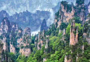 Program Penghijauan China Ubah Distribusi Air Tawar Nasional