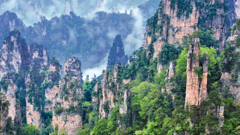Program Penghijauan China Ubah Distribusi Air Tawar Nasional