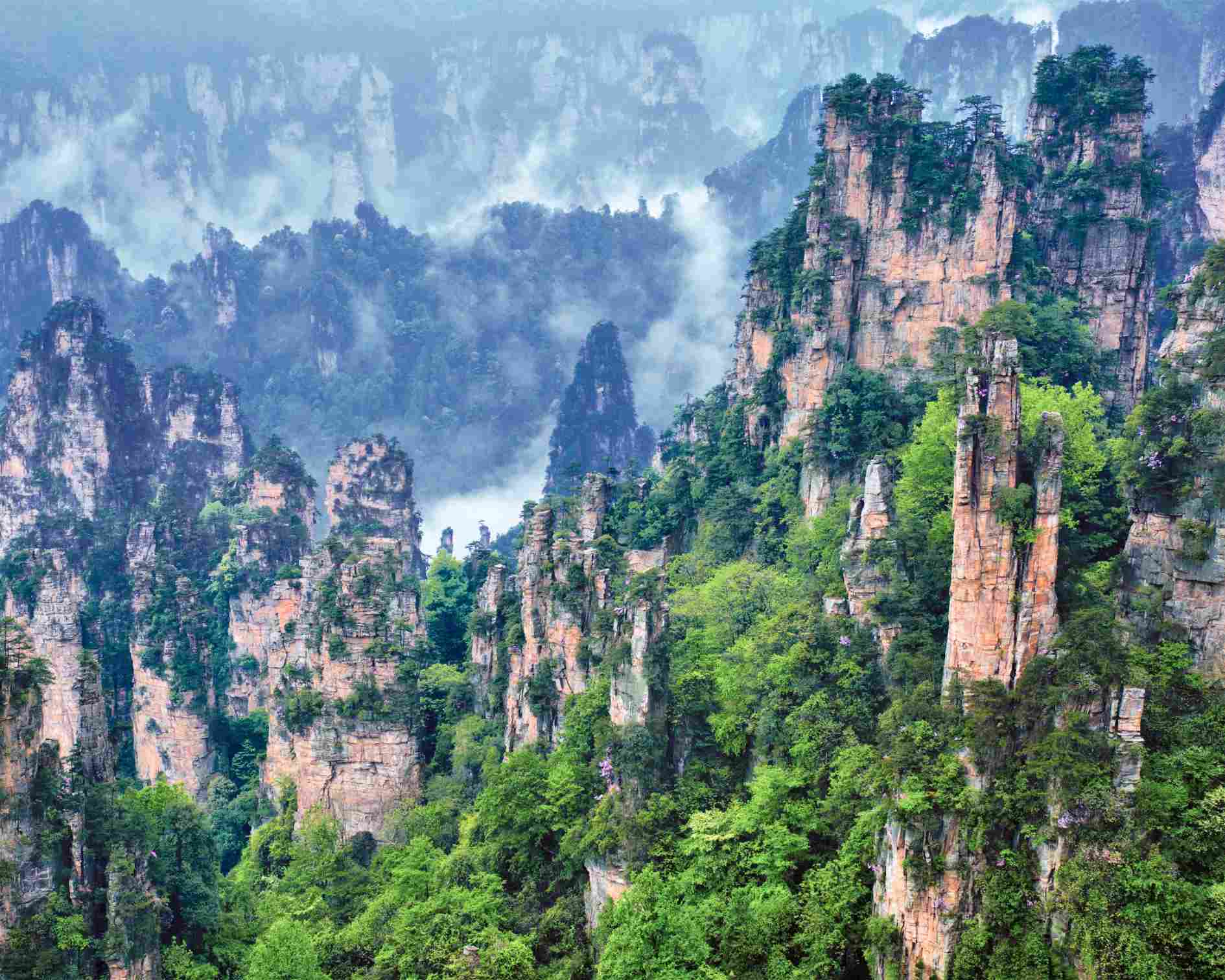 Program Penghijauan China Ubah Distribusi Air Tawar Nasional