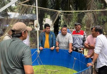 Sentuhan Tangan Dingin Suparman Berhasil Bangun Kemandirian Ekonomi dari Limbah Sawit