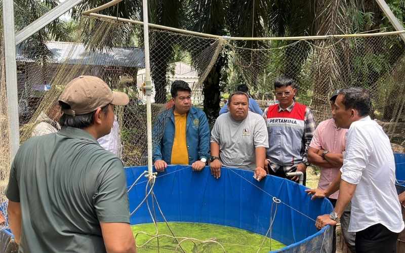 Sentuhan Tangan Dingin Suparman Berhasil Bangun Kemandirian Ekonomi dari Limbah Sawit