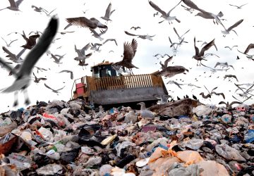 PENDAPAT — Open Dumping Sampah Ancam Bencana, Apa Solusinya?