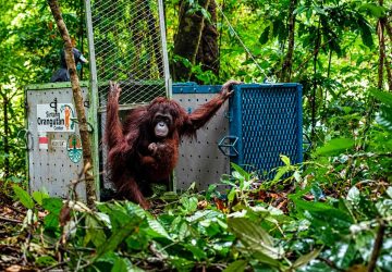 Selamat Datang di Rumah Benazir, Jamilah, Sinta, Ulin dan Sabine