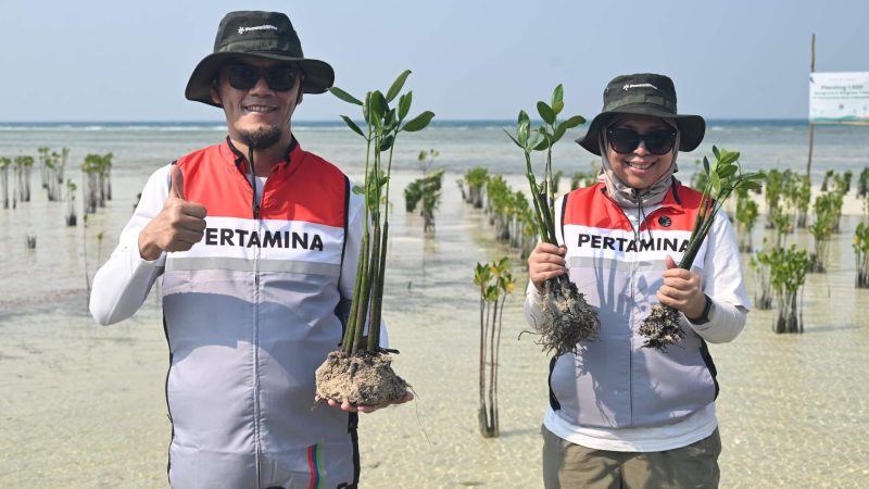 800 Bibit Mangrove Ditanam di Kepulauan Seribu