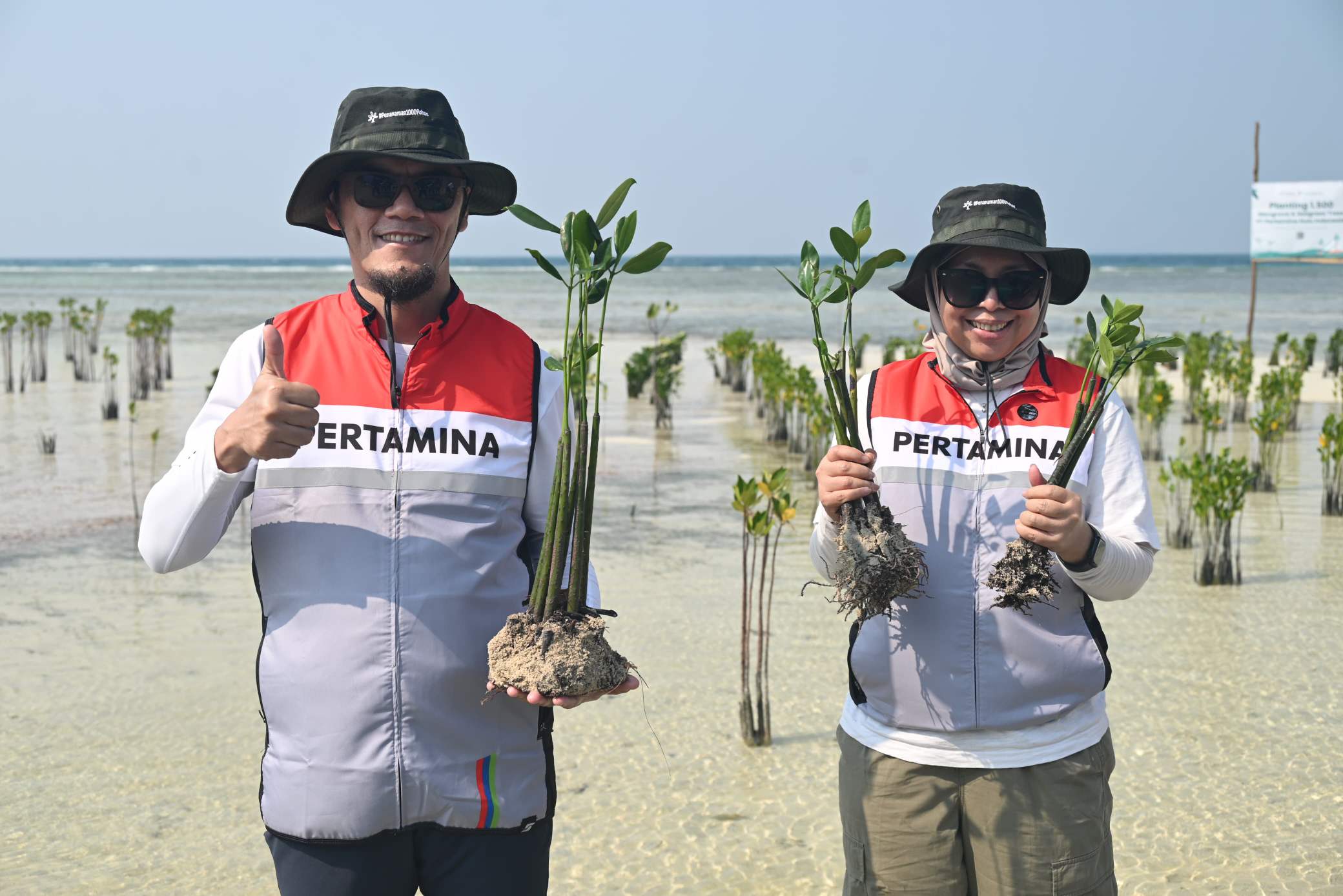 800 Bibit Mangrove Ditanam di Kepulauan Seribu