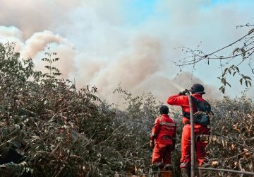 Jikalahari Kritik Kunjungan Perdana Prabowo ke Riau