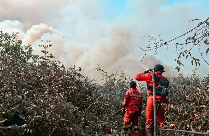 Jikalahari Kritik Kunjungan Perdana Prabowo ke Riau