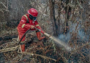 Indonesia Sumbang 40% Emisi Karbon Global akibat Karhutla, Ini Datanya