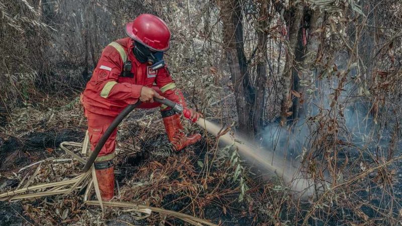Indonesia Sumbang 40% Emisi Karbon Global akibat Karhutla, Ini Datanya