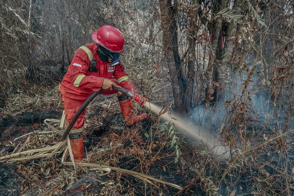 Indonesia Sumbang 40% Emisi Karbon Global akibat Karhutla, Ini Datanya