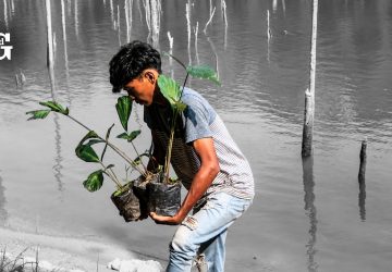 Biodiversity Safeguard, Listrik Tersedia, Alam Terjaga