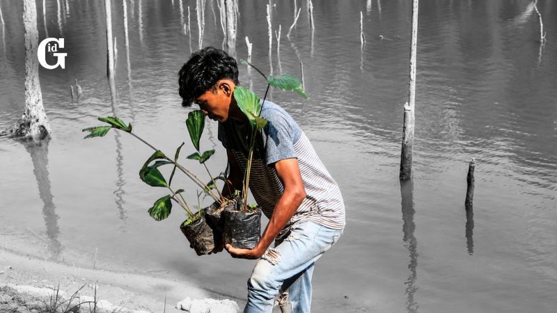 Biodiversity Safeguard, Listrik Tersedia, Alam Terjaga