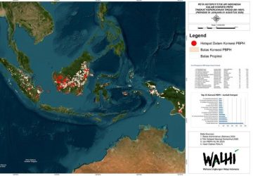 Ribuan Titik Panas di Gambut, Target Iklim Indonesia Terancam