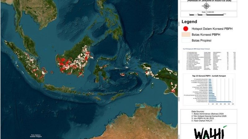 Ribuan Titik Panas di Gambut, Target Iklim Indonesia Terancam